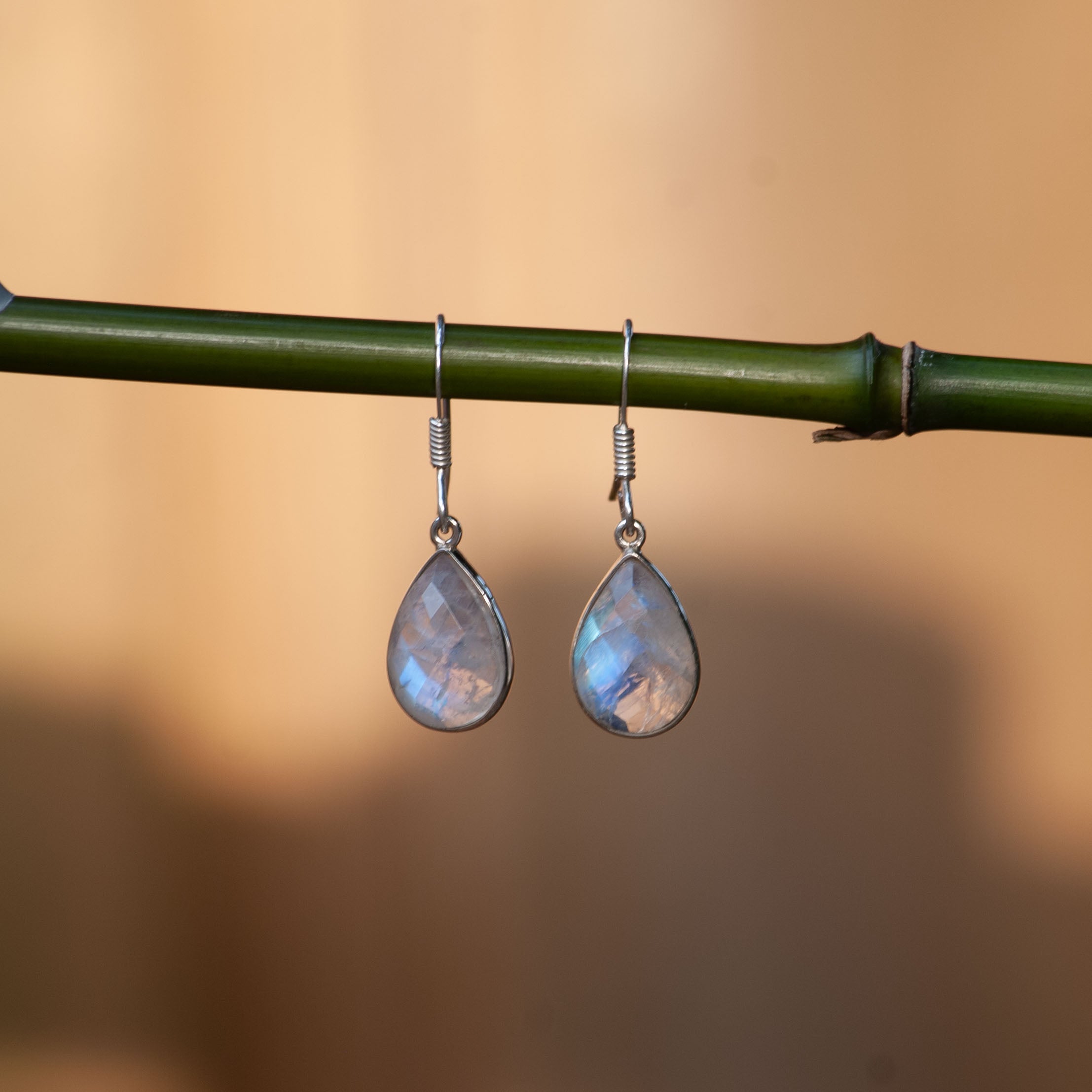 Zenvya - Maansteen Oorbellen - 925 Sterling Zilver