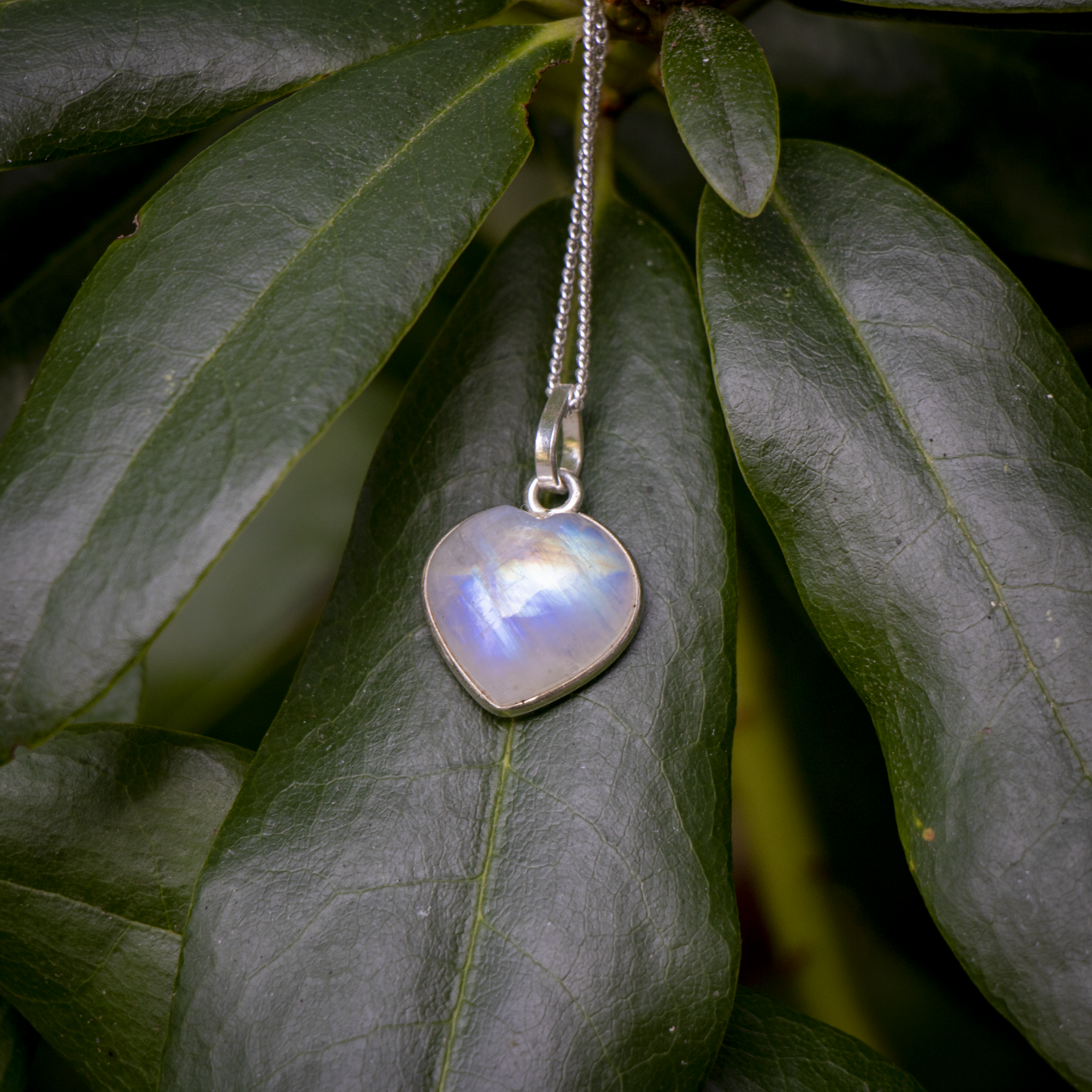 Zenvya - Regenboog Maansteen Ketting Hart - 925 zilver