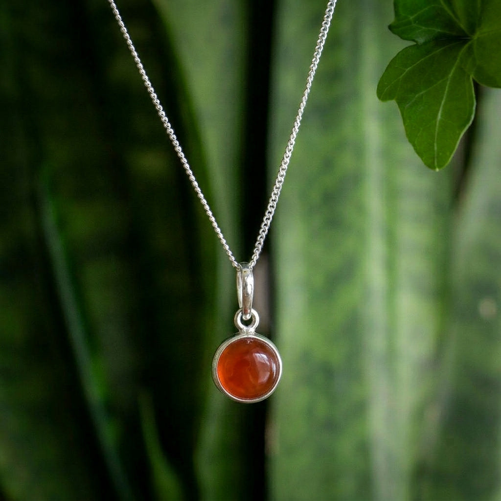 Zenvya - Carneool Ketting - 925 zilver