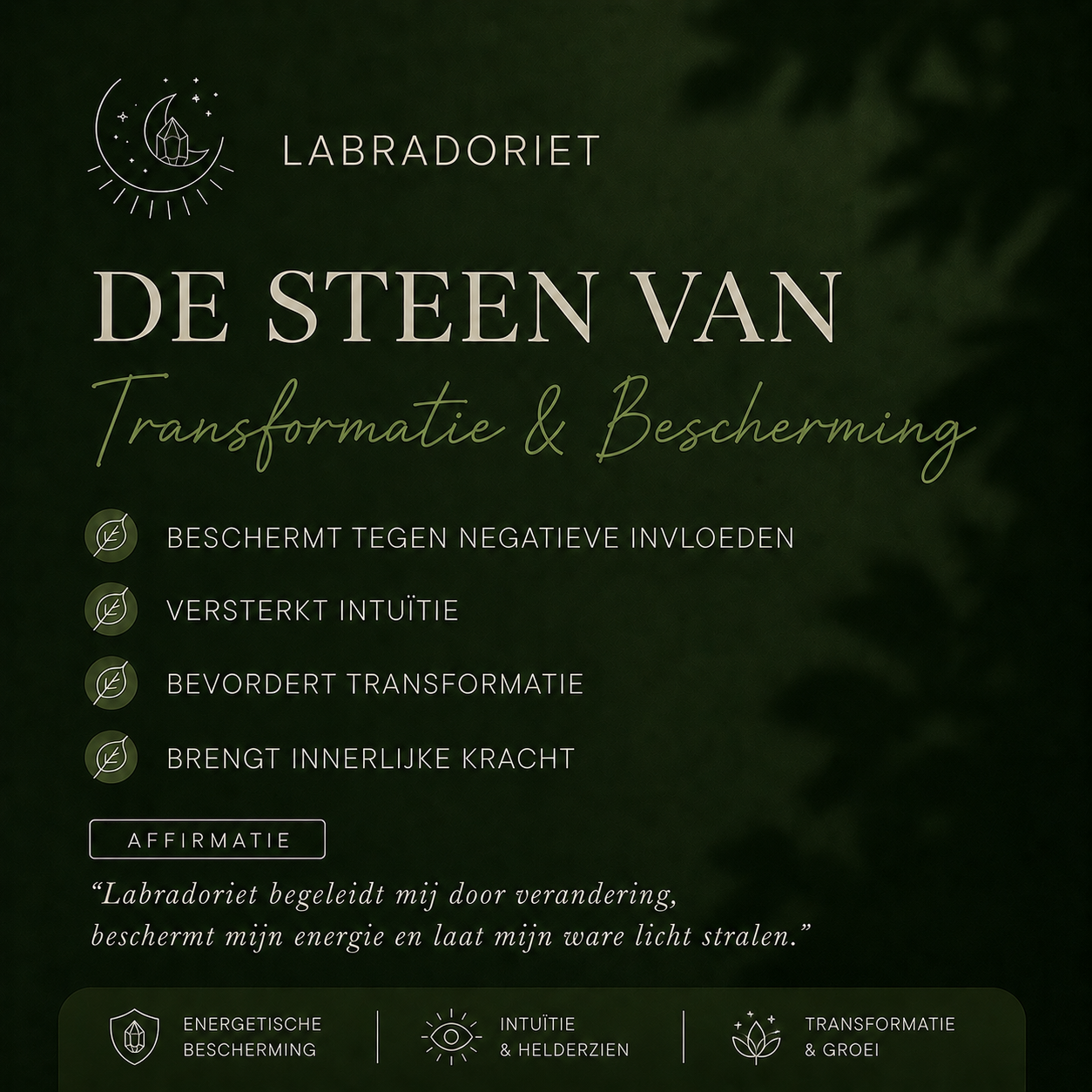 Zenvya - Labradoriet Oorbellen - 925 zilver