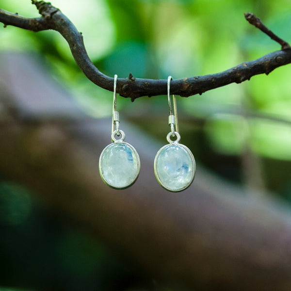 Elegance Regenboog Maansteen Oorhangers Ovaal - Vrouwelijke kracht en minder stress - ZENVYA