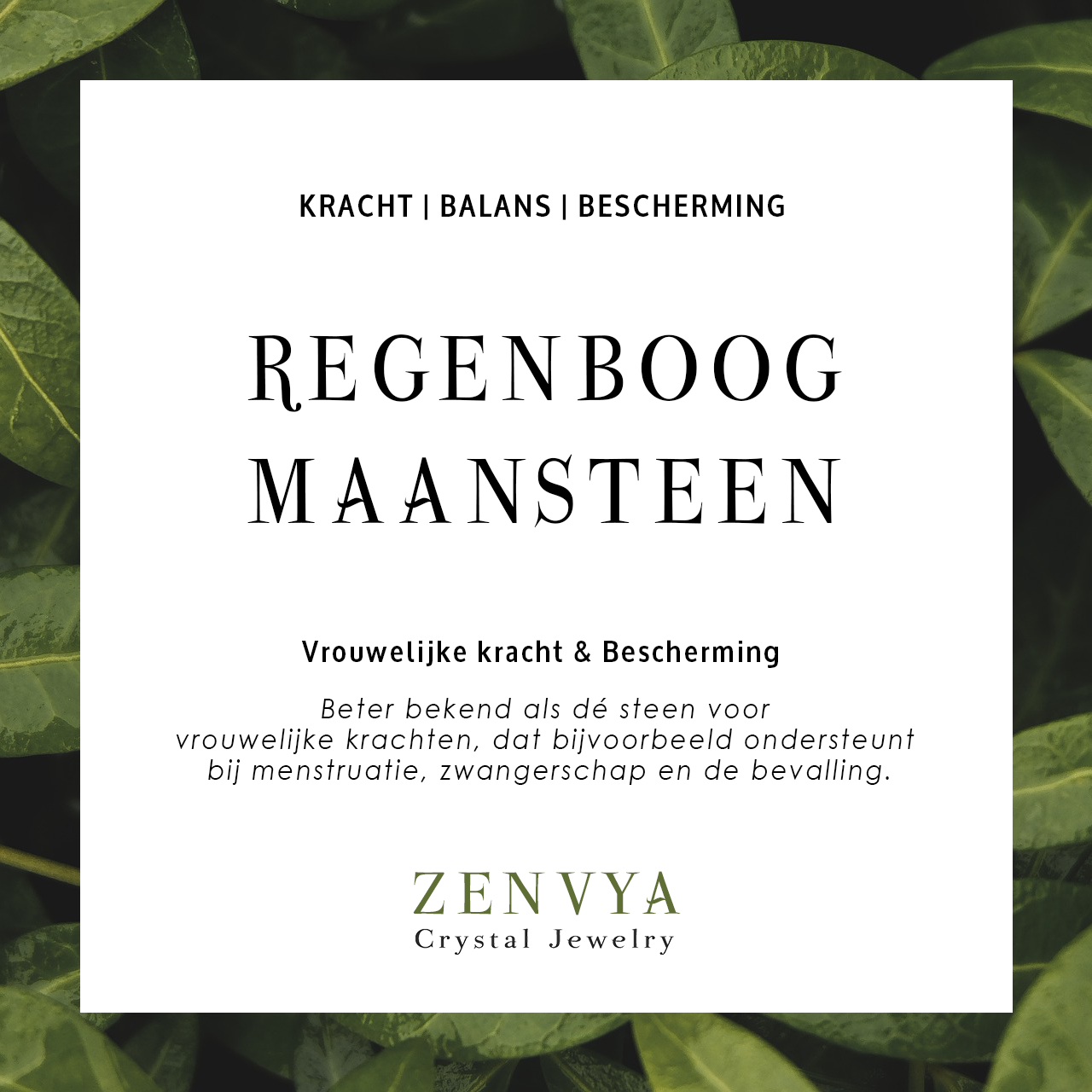Zilveren Regenboog Maansteen Oorhangers
